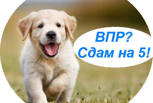 ВПР-2020 математика 8 класс
